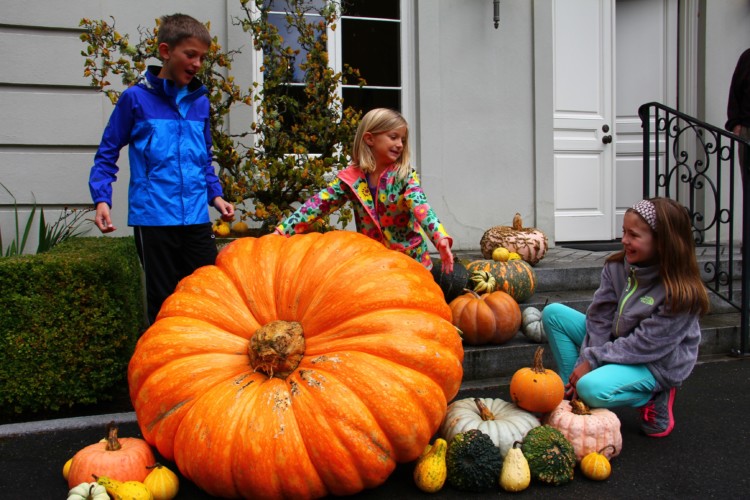giant pumpkin squash kids