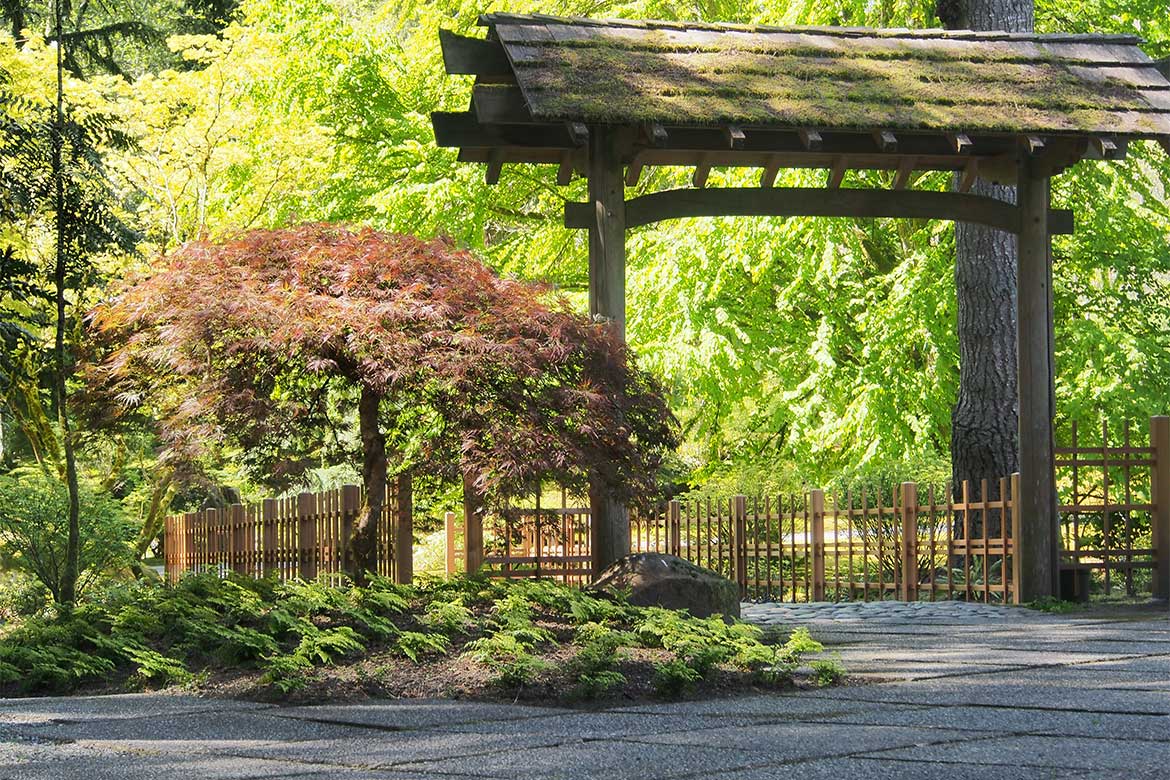 Japanese Docent in the Garden at Bloedel Reserve