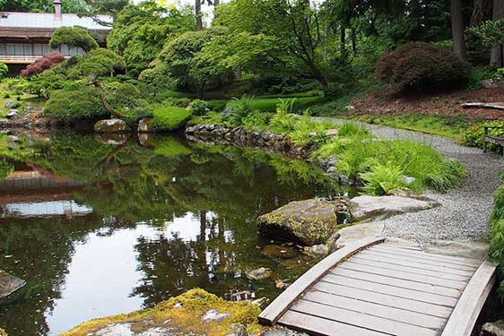 wooden bridge in japanese garden at Bloedel Reserve