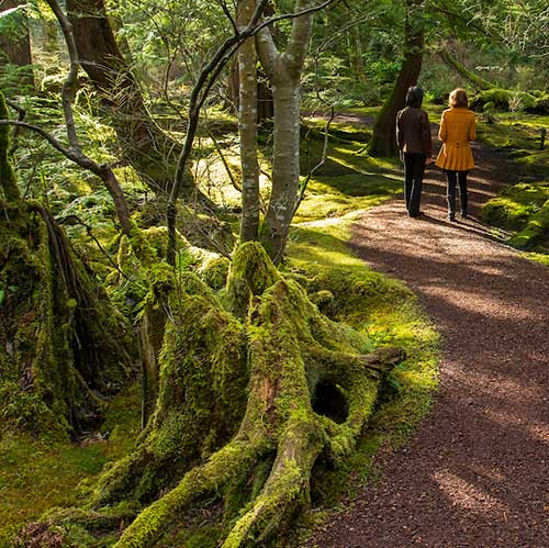 women walking in the woods