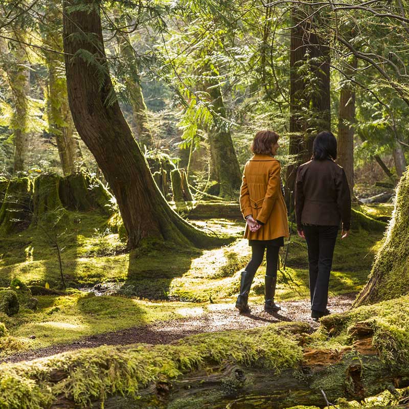 walking in the woods