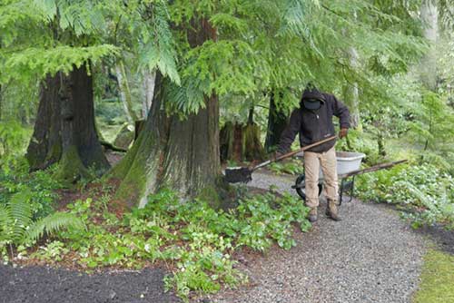 Groundskeeper Working at Bloedel Reserve