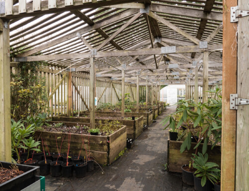 The Living Record: How Bloedel Reserve Documents Its Collections