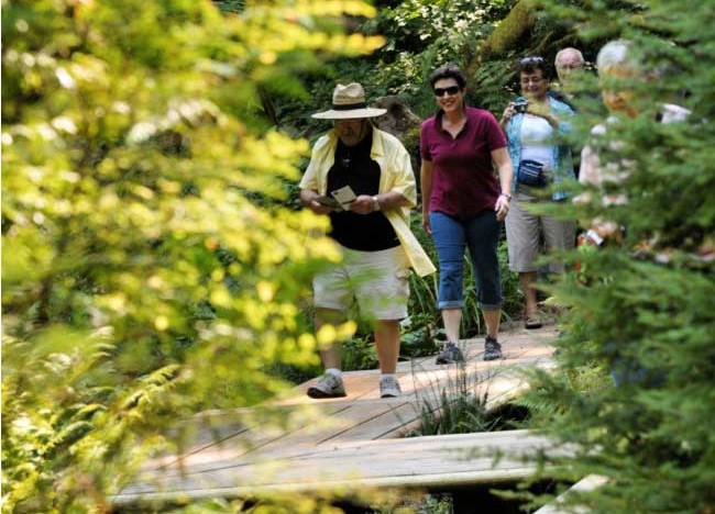 Guided tours at Bloedel Reserve