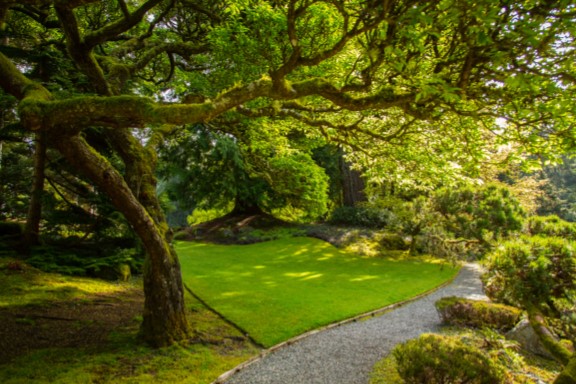 Strolls at Home Week 1