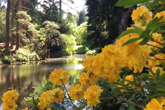 Strolls at Home Week 2