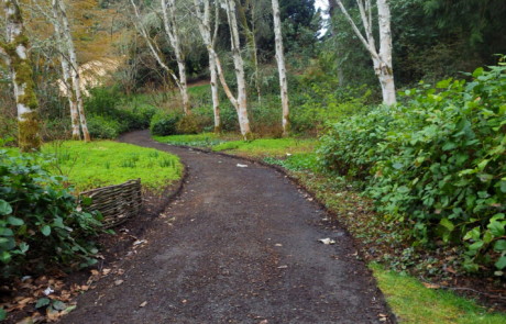 Trail Build at Bloedel Reserve