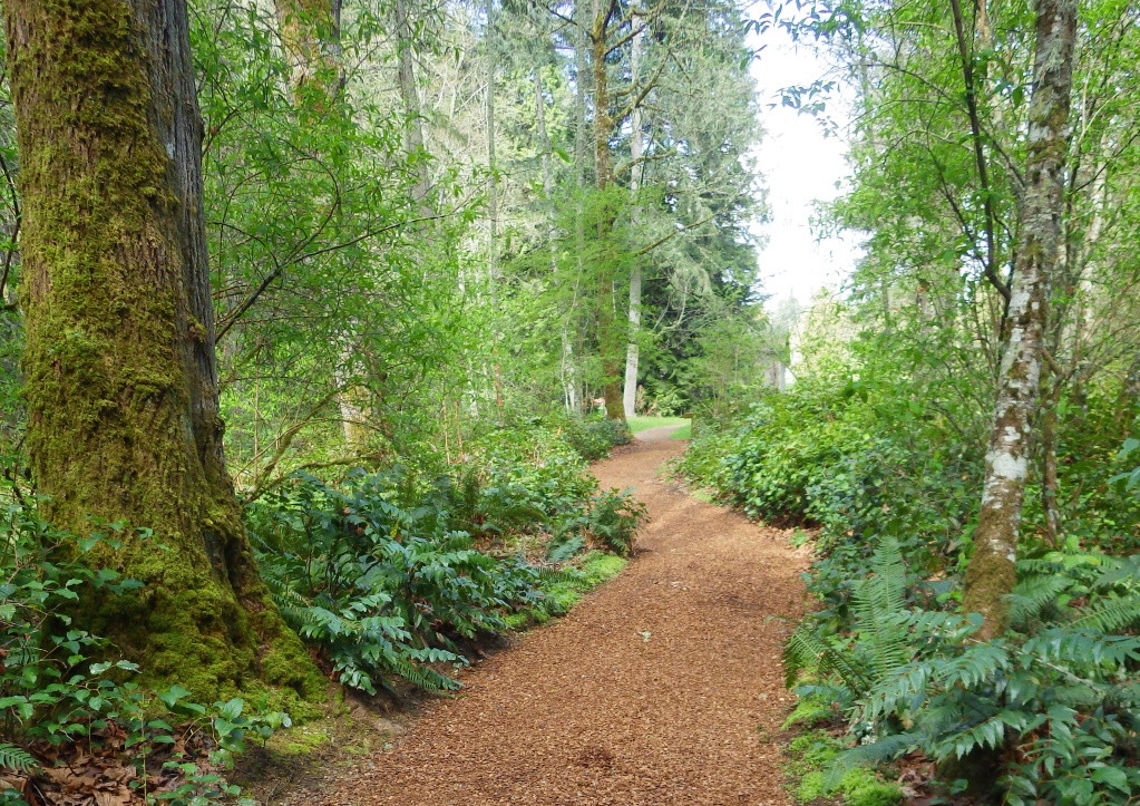 Trail Build at Bloedel Reserve