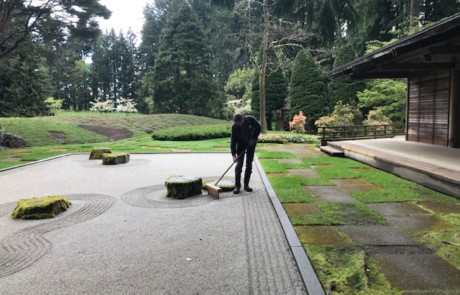 The Stone Garden at Bloedel Reserve