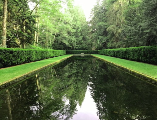 The Reflection Pool