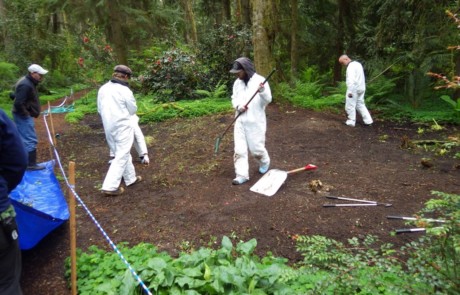 Crew destroying ramorum infected plants