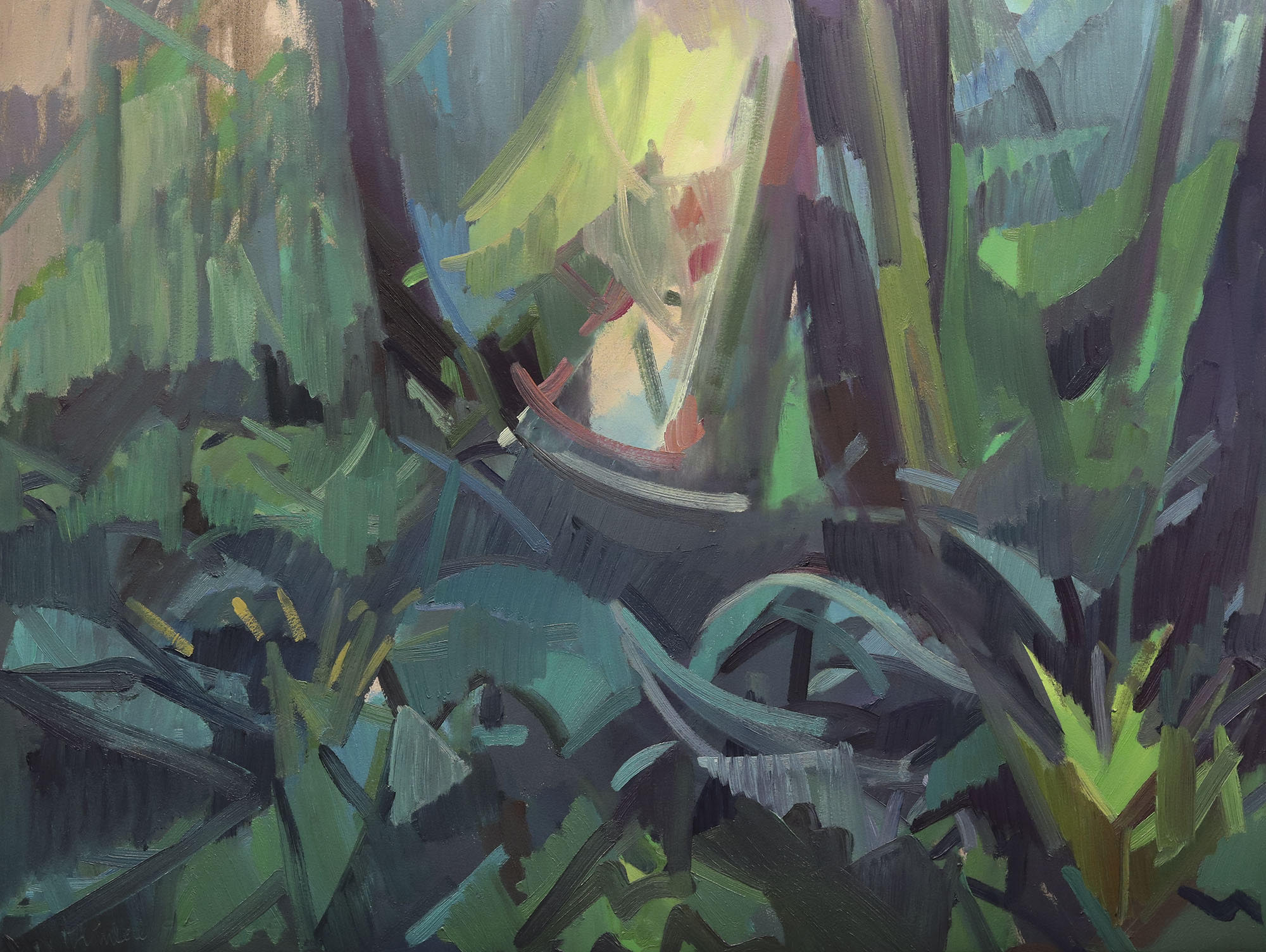 Sea of Ferns by Kimberly Trowbridge