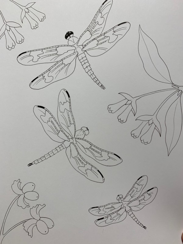 Dorota Haber-Lehigh Dragonflies IMG_0204 Dorota Haber-Lehigh Dragonflies IMG_0204