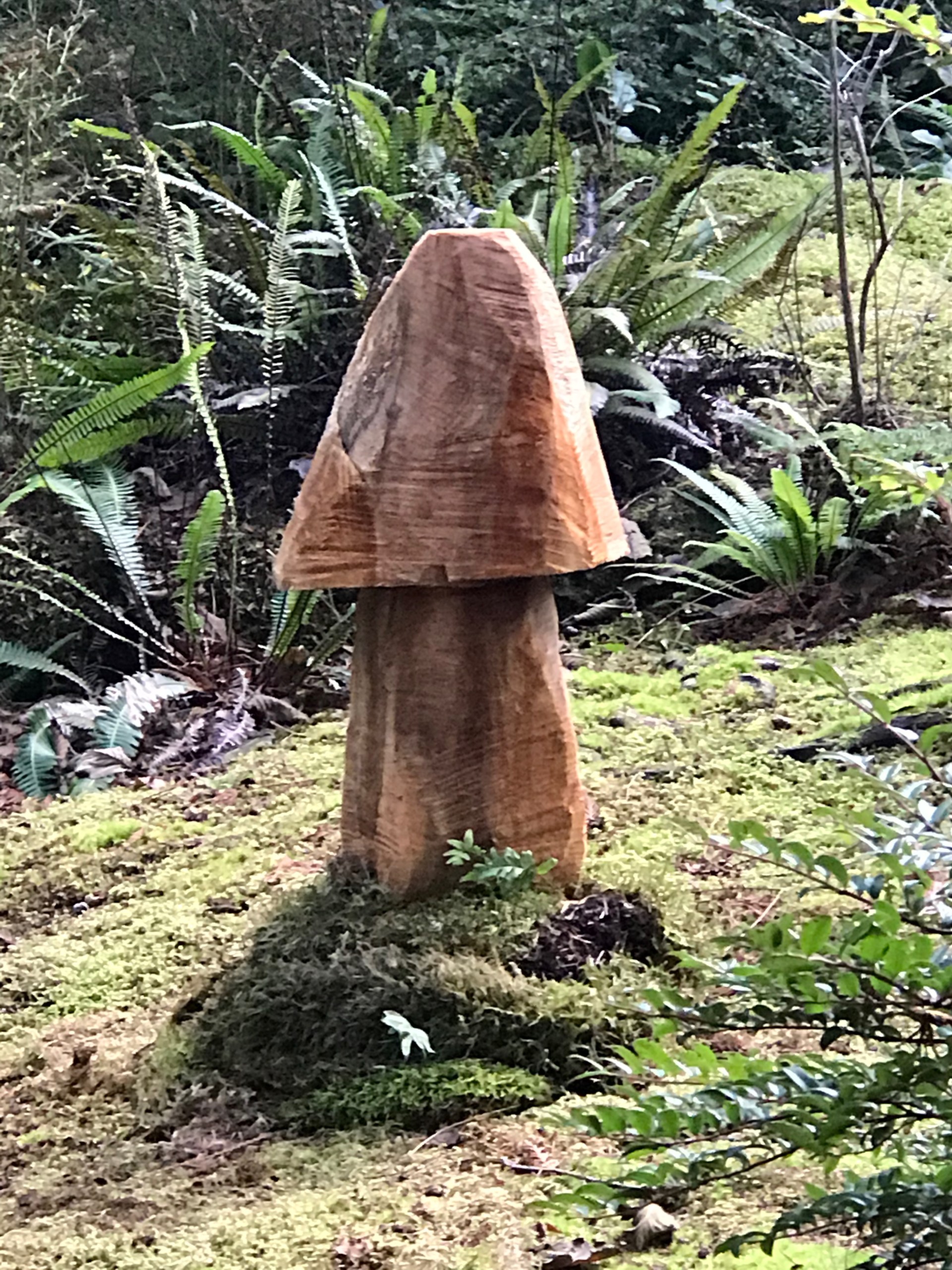 GDouma WITW 2020 Massive mushroom