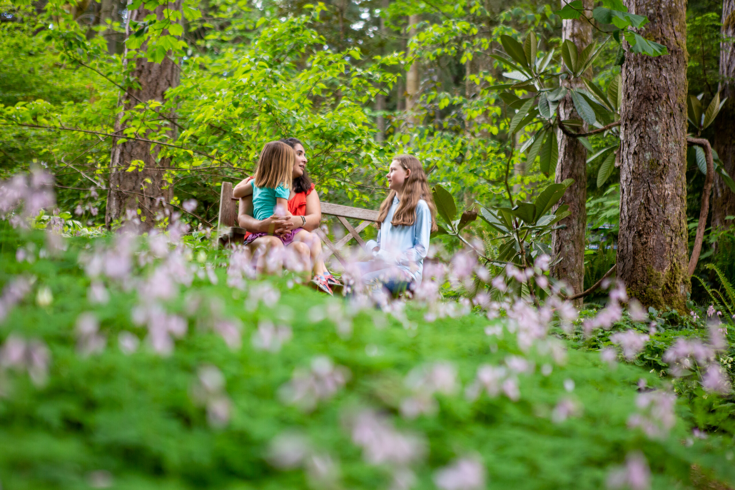 Bloedel Reserve Gift Card Bloedel Reserve Bloedel Reserve Gift Card Bloedel Reserve