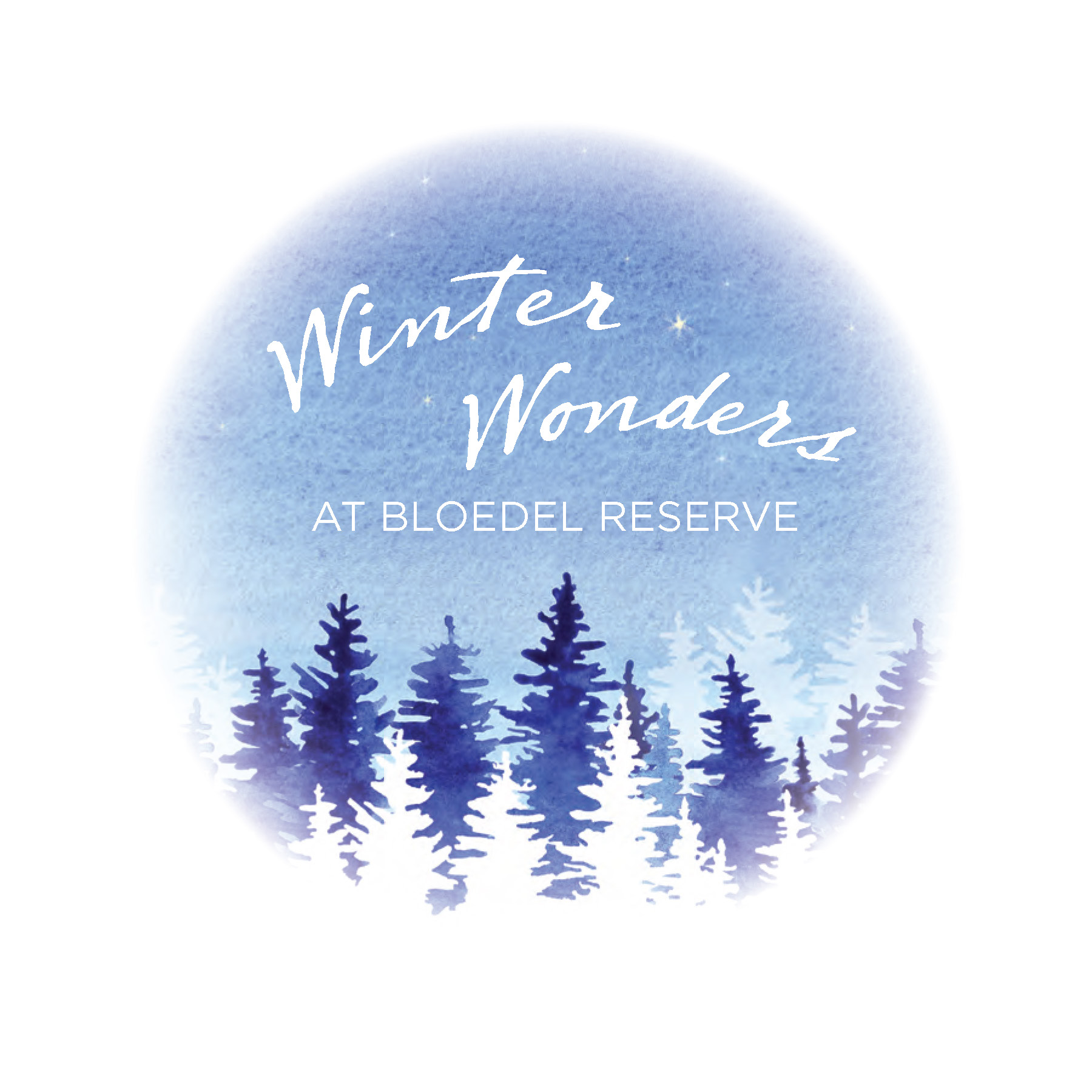 Winter Wonder