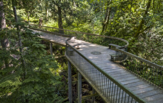 Trestle Bridge