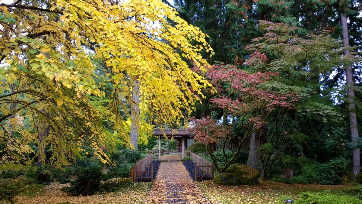 PBartha_IMG_20171017_144720566