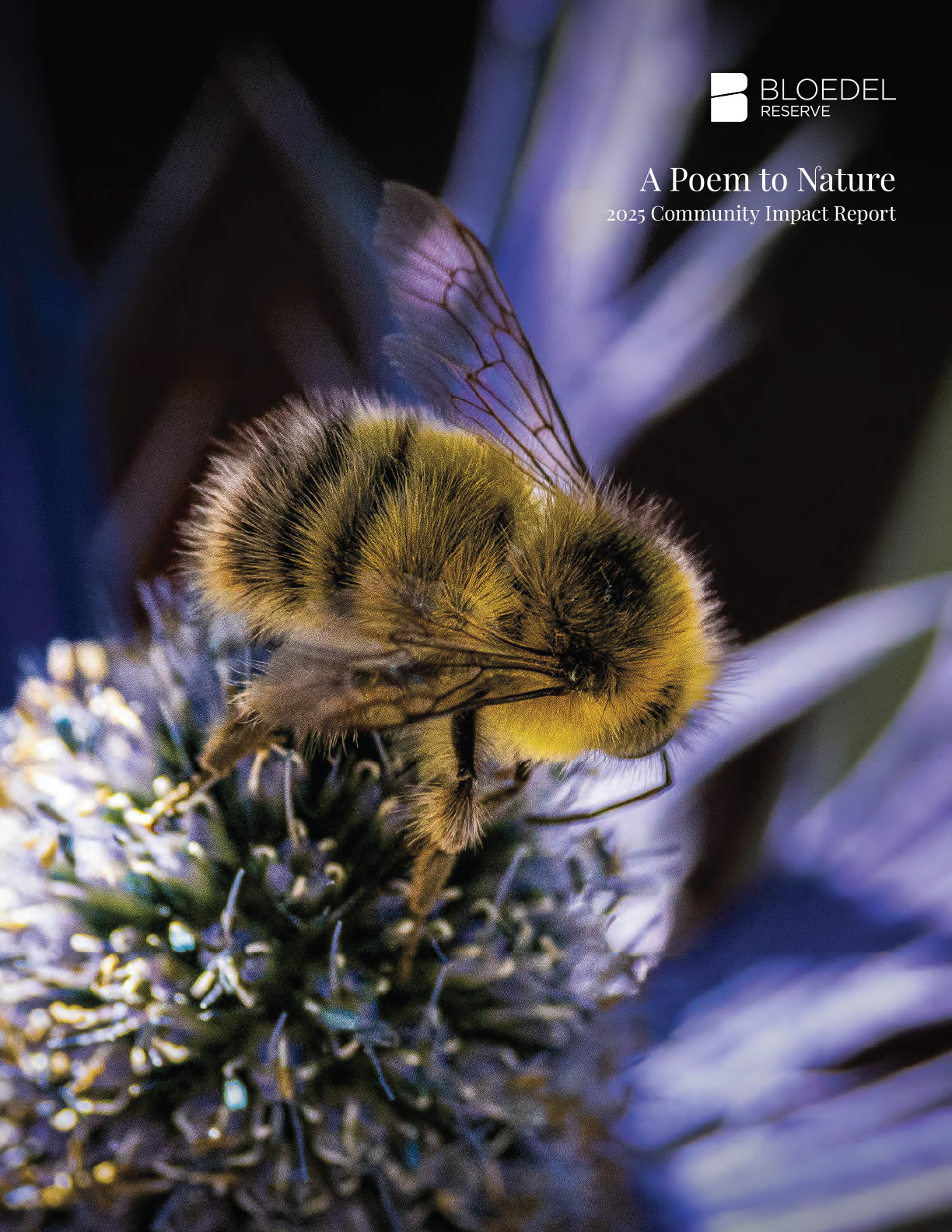 Bloedel Reserve 2025 Community Report