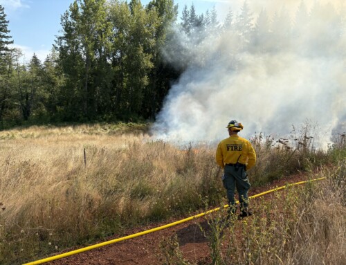 Burning for Renewal: Fire, Partnerships, and Pollinator Habitat