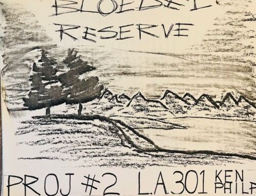 Mentoring the Next Generation of Landscape Architects