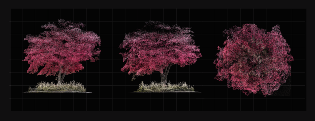 Digitally Capturing Nature in 3D