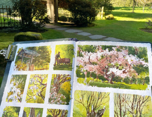 Seeing Nature Through an Artist’s Eyes: Meet Virginia Hein