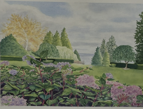 Painting the Shadows: Meet Community Creative Laura Olesen-Berge
