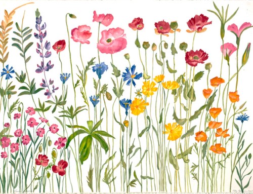 One Year, 12 Books: Katy Gilmore’s Year at Bloedel Reserve